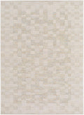 Arshad Ivory Area Rug