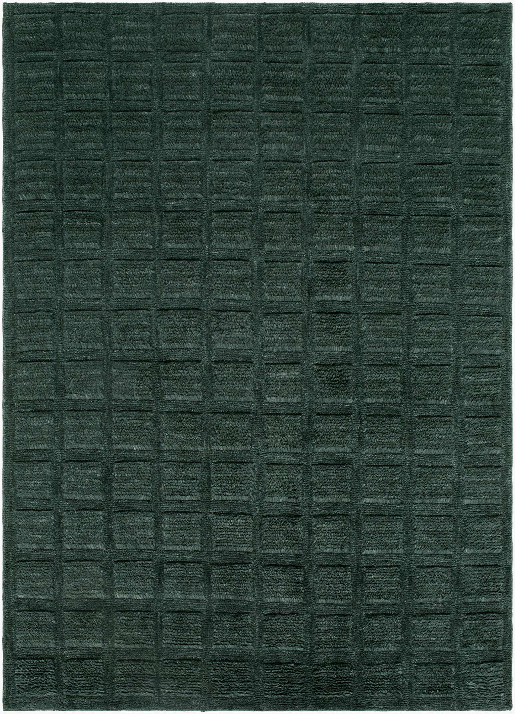 Sample Janina Wool Washable Area Rug